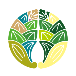 茗荷